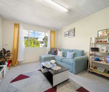 11/80 Collett Street, Queanbeyan NSW 2620 - House For Rent | Domain - Photo 5