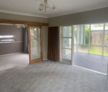 Waterloo Cutie - Photo 2