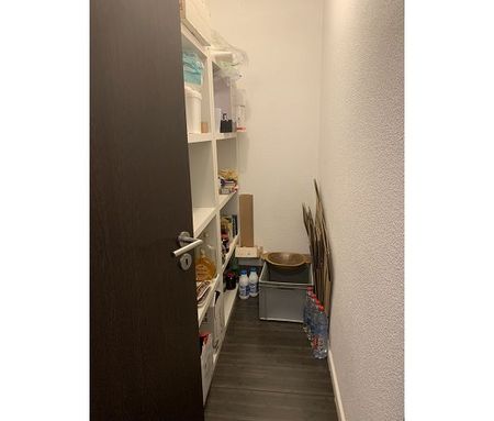 location Appartement 4 pièces à Colmar - REF 1089-IB - Photo 5
