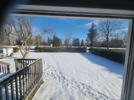 For Lease - 229 Angeline Street, Kawartha Lakes, Ontario - Photo 4