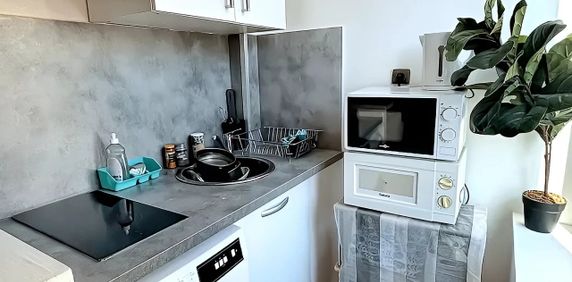 Location Appartement 1 pièce 17m² NIMES 30000 - Photo 2