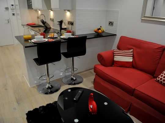 1 bedroom flat to rent - Photo 1