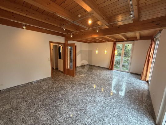 FAMILY-FRIENDLY DOUBLE FAMILY HOUSE - Photo 1