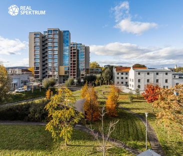 Pronájem bytu 1+kk 24 m2 - Фото 5