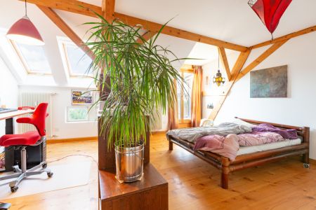 Grossbasel MFH Elisabethenstrasse - Photo 4