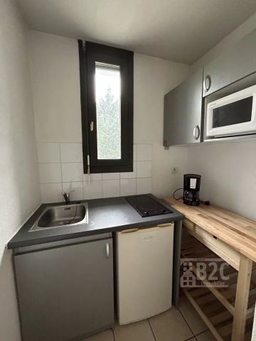 T2 meublé avec balconnet - Photo 5