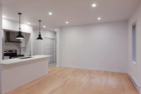 1620 Rue Dézéry, Montréal (Mercier, QC H1W - Photo 5