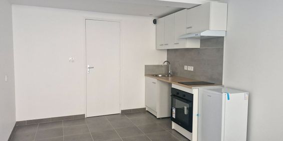 Location Appartement 1 pièce 18m² - Photo 3
