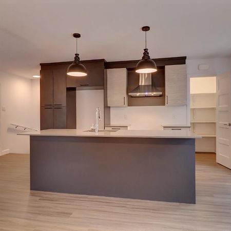 Appartement 5 1/2 à louer - Sherbrooke / Fleurimont -Près du cégep ! - Photo 4