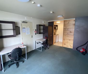 Studio Apartment in the Heart of Wellington! - Photo 3