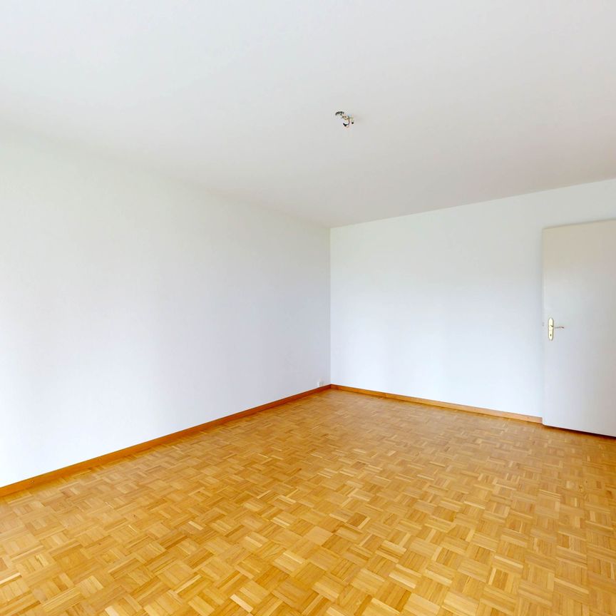 3.5 Zimmer, 73 m² - Foto 1