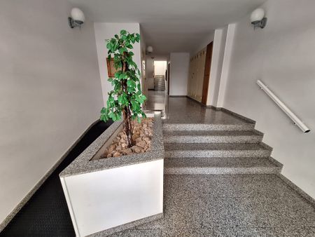 Ref. 7423 2 Bedroom Apartment in Torrevieja - Photo 5