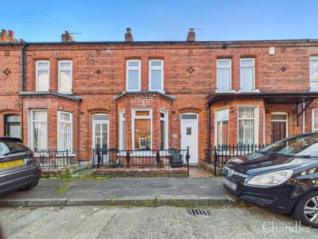 21 Rochester Street, Belfast, BT6 8EU - Photo 5