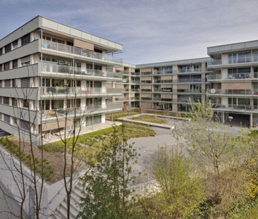 Hohe Lebensqualität in familienfreundlichem Wohnquartier - Photo 3