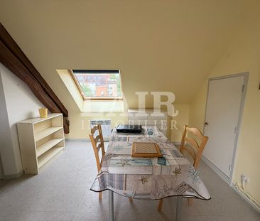 À louer - Studio meublé au coeur de Mortagne-au-Perche - Réf. : M14046 - Photo 1