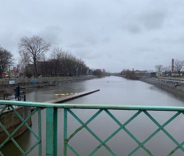 385 Rue St Martin Montréal (Le Sud-Ouest), QC H3J - Photo 3