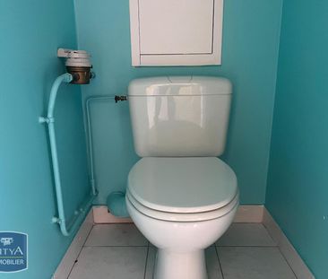 Location Appartement 1 pièce 28m² GRENOBLE 38100 - Photo 3