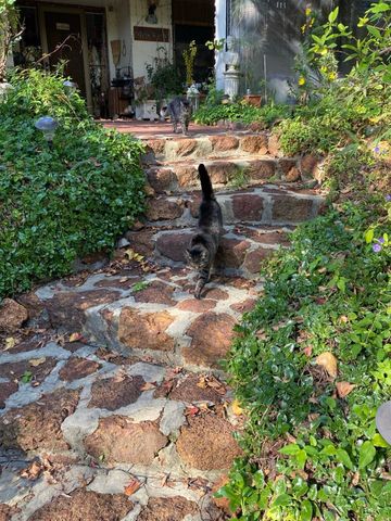 Gooseberry Hill - Photo 4