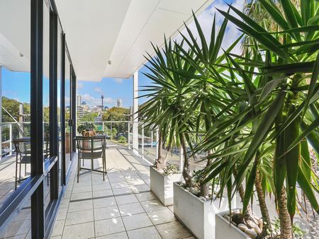 201/85 New South Head Road, Edgecliff NSW 2027 - Apartment For Rent | Domain - Photo 4