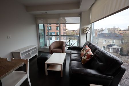 For Lease - 238 Besserer Street Unit# 616, Lower Town - Sandy Hill, Ontario - Photo 4