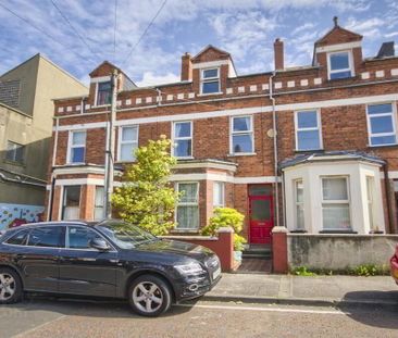 Room 5, 4 Candahar Street, Belfast, BT7 3AQ - Photo 1