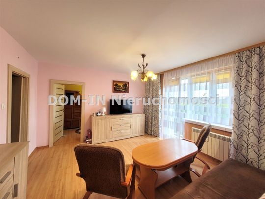 Osiedle 1000-lecia, 1000 Lecia, Jastrzębie-Zdrój - Zdjęcie 1