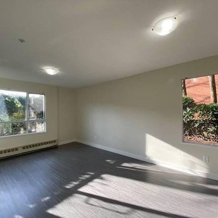 Modern & Spacious 2 Bedroom - Kitsilano - Photo 4