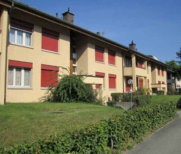 Wohnen in idyllischerUmgebung mit schönem Gartensitzplatz - Photo 3