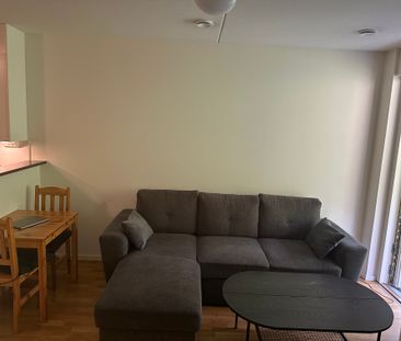 Gaffelseglet, Vega - Foto 2