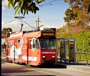 4/39 Osborne Avenue, GLEN IRIS, VIC - Photo 3