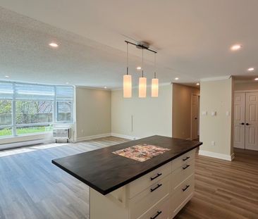 For Lease - 45 Pond Mills Road Unit# 103, London South, Ontario - Photo 1