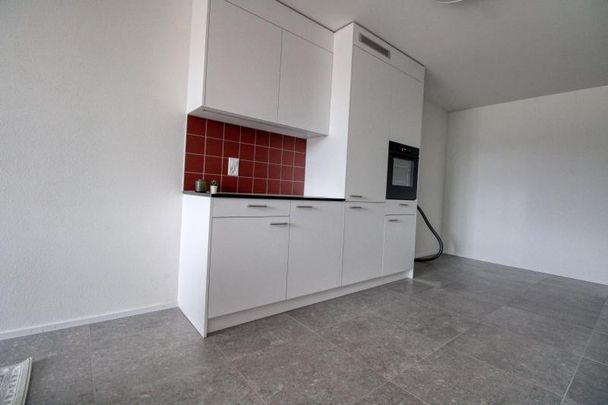 James #1 - Spacious Coliving Apartment in Crissier with private Bathroom - Foto 1