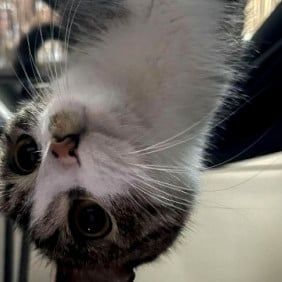 Pokój, ul. Jackowskiego - Zdjęcie 1