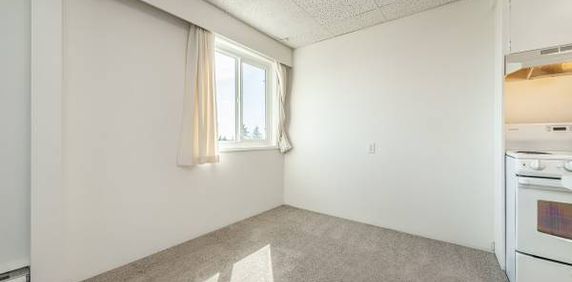 Rockalnd Heights - 1 Bedroom - Available February 1st - Photo 2