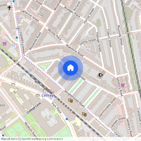 Llandough Street, CF24 4AW, Cathays