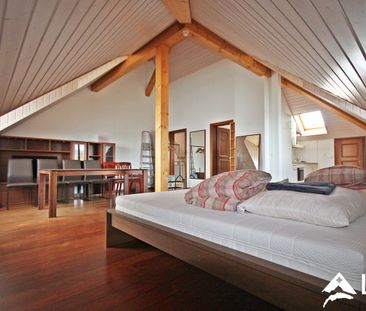 Superbe studio MEUBLE - COURTE DUREE / Vue lac - Jardin - Piscine - Foto 2