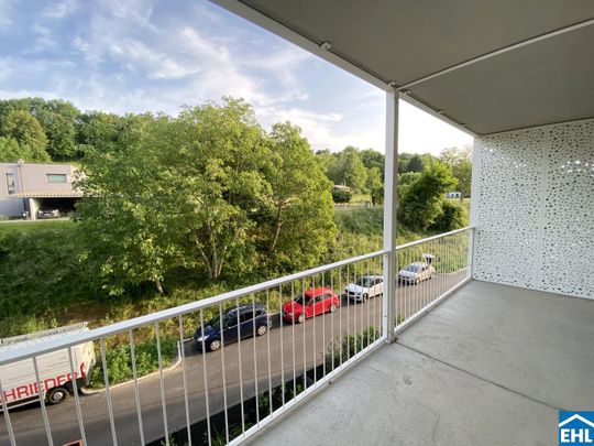 Familienfreundliches Wohnen im Grünen: Ihr neues Heim im Tullnerfeld - Foto 1