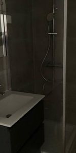 Location Appartement 1 pièce 19m² VANDOEUVRE LES NANCY 54500 - Photo 3