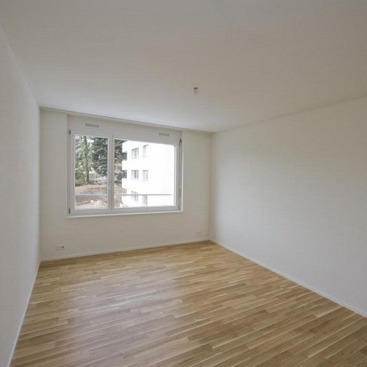 Haus im Glück - Foto 1