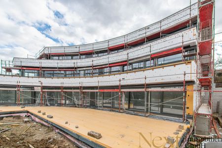 ERSTBEZUG! Lichtdurchflutete 3-Zimmer-Wohnung mit Terrasse samt traumhaftem Donaublick zu vermieten! - Foto 3
