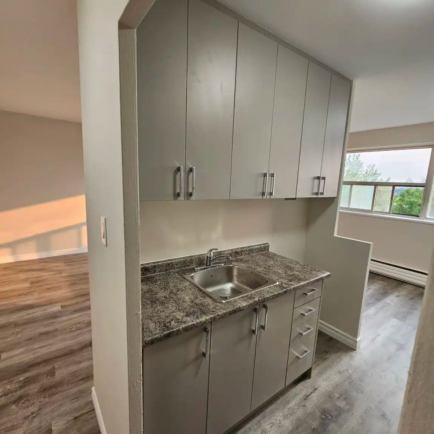 1817-1827 Victoria Park — 2 Bedroom - Photo 1