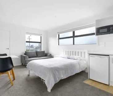 Spacious Studio Room- Great Location - Photo 3