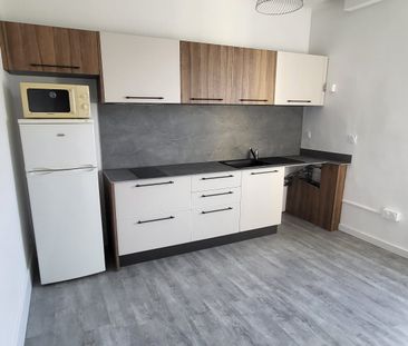 Location Appartement 1 pièce 31m² ANNECY 74000 - Photo 3