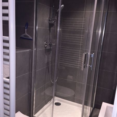 Location Appartement 1 pièce 19m² - Photo 4