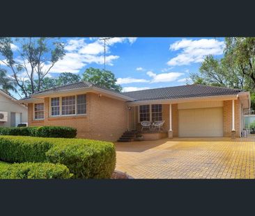 142 Quarry Road, Ryde, NSW 2112 - Photo 3