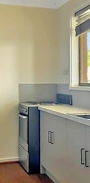 4 Poplar Ave, Shepparton - Photo 1