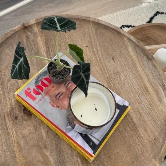 barcelona, Catalonia 08001 - Photo 1