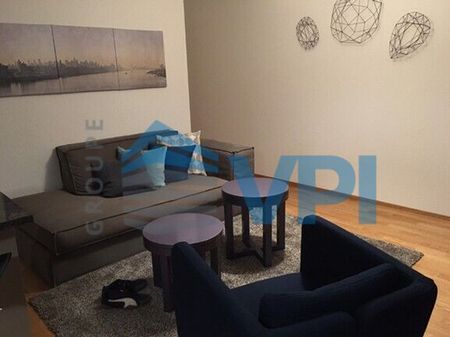 Superb 3 room furnished apartment in Carouge - Photo 5
