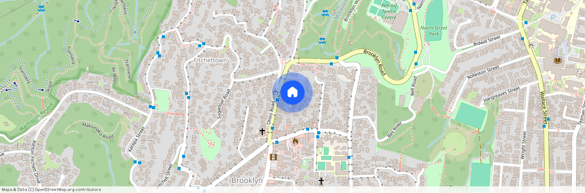 161 Ohiro Rd, Brooklyn, Wellington City