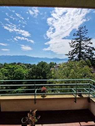 Appartement meublé 1 pièces à Lausanne - Photo 1